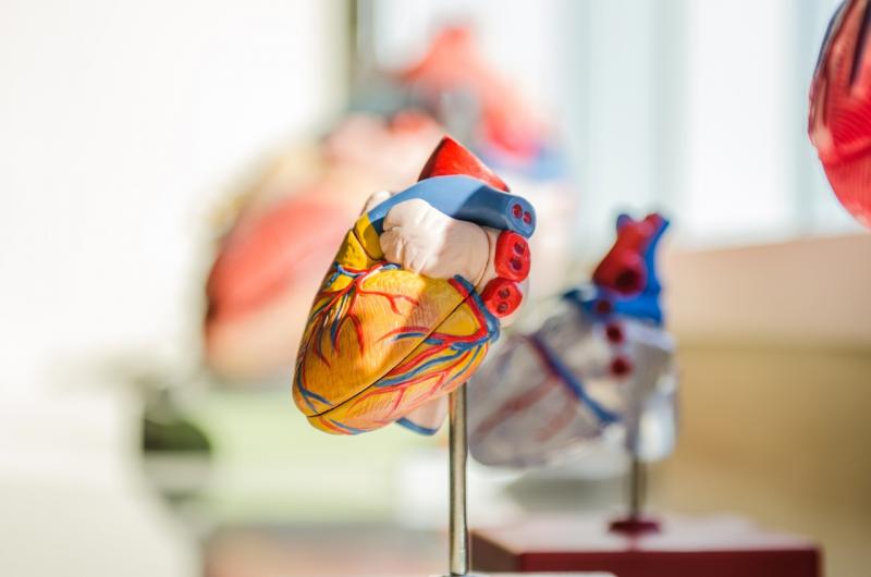 "Ленивая" физкультура для сердца: эксперты назовут действенные методы защиты от сердечно-сосудистых заболеваний