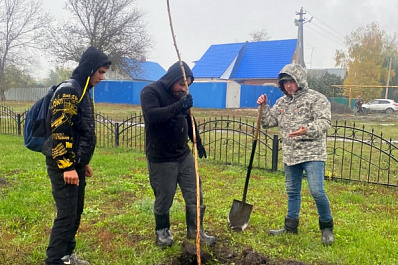 В Волжском районе высадили аллею в честь женщин-фронтовиков