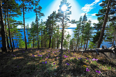 Опрос: более половины самарцев верят в глобальное потепление