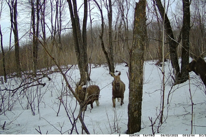 Название статьи