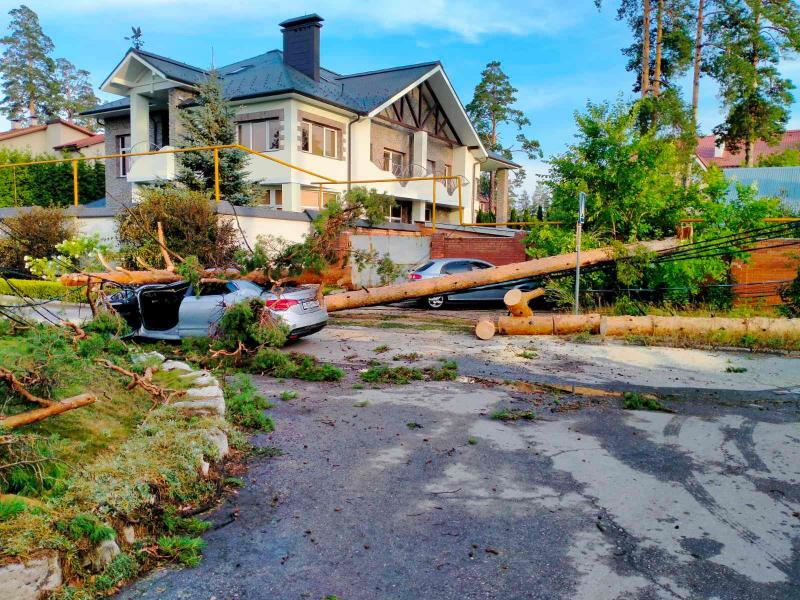 В Тольятти дерево раздавило едущий автомобиль: водителя увезли в больницу