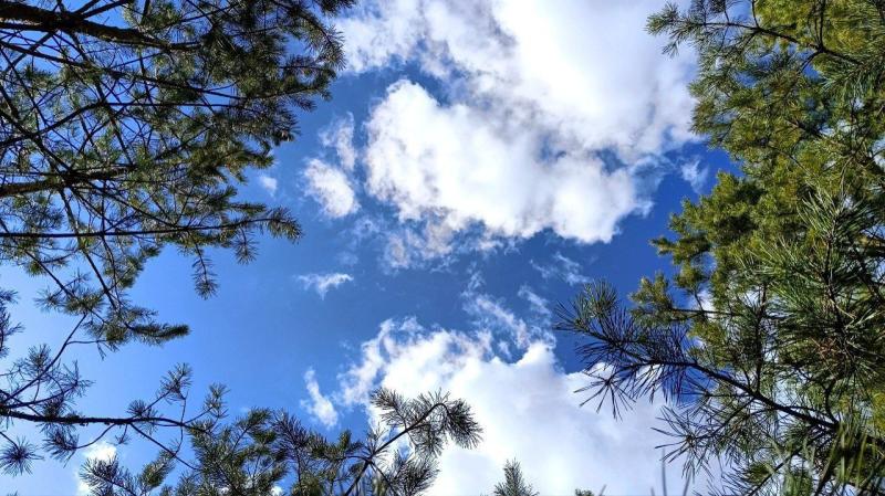 10 температурных рекордов побито в Самарской области 1 апреля