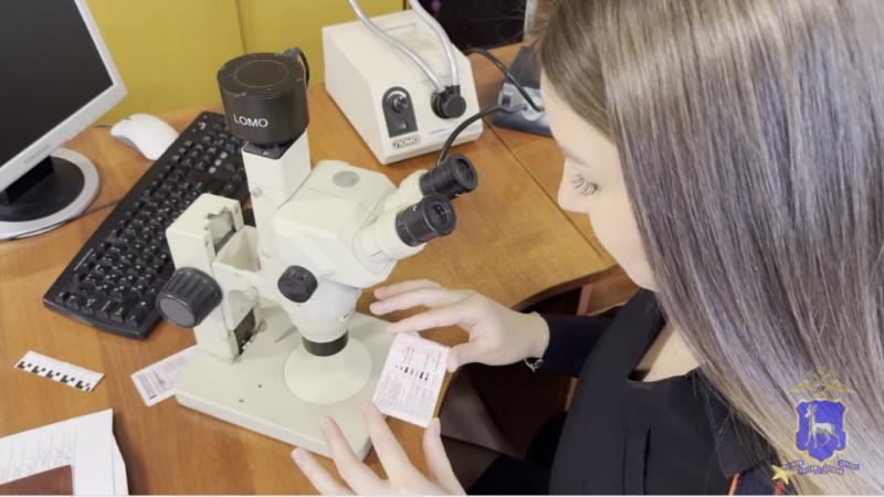 В Самарской области водителя задержали за подделку прав