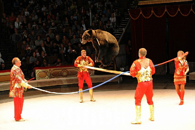 Росгосцирк сообщил, когда региональные цирки откроют новый сезон