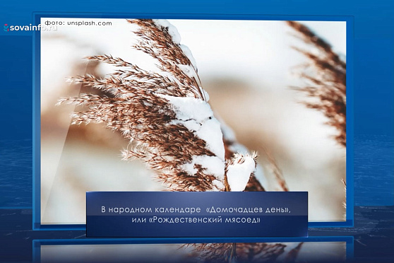 Рождественский мясоед. Календарь Губернии от 10 января