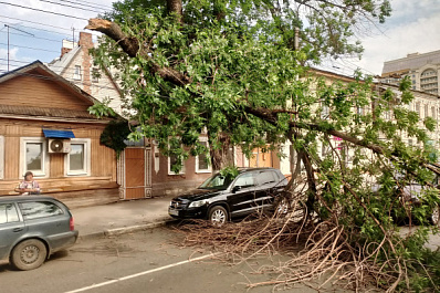Движение встало: 13 июня в историческом центре Самары упало дерево
