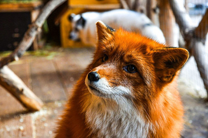 Название статьи