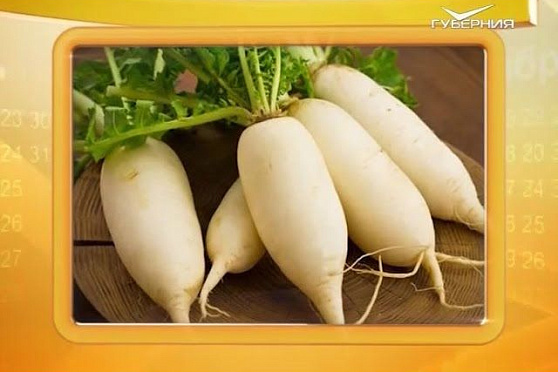 Календарь губернии 05.10.2016