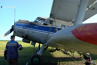 На борьбу с вредителями: леса Самарской области обрабатывает авиация