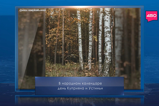 День Куприяна и Устиньи. Календарь Губернии от 15 октября