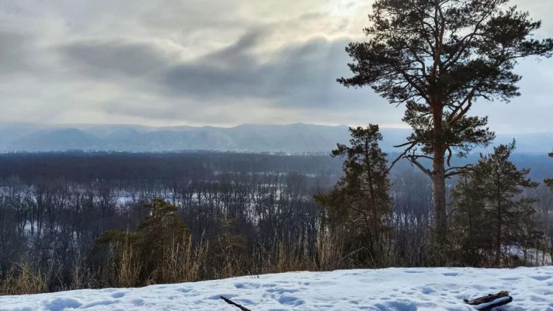 Народные приметы на 13 февраля 2025 года: что нельзя делать в этот день