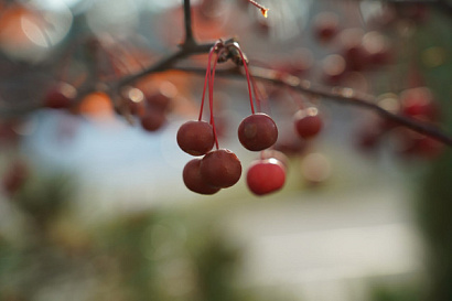 Название статьи