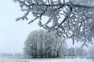 Желтый уровень опасности объявлен в Самарской области
