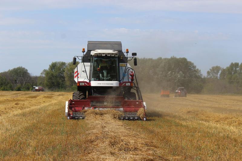 Сельский апгрейд: аграрии Самарской области ставят рекорды