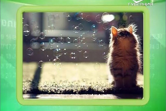 Календарь губернии 28.05.2016