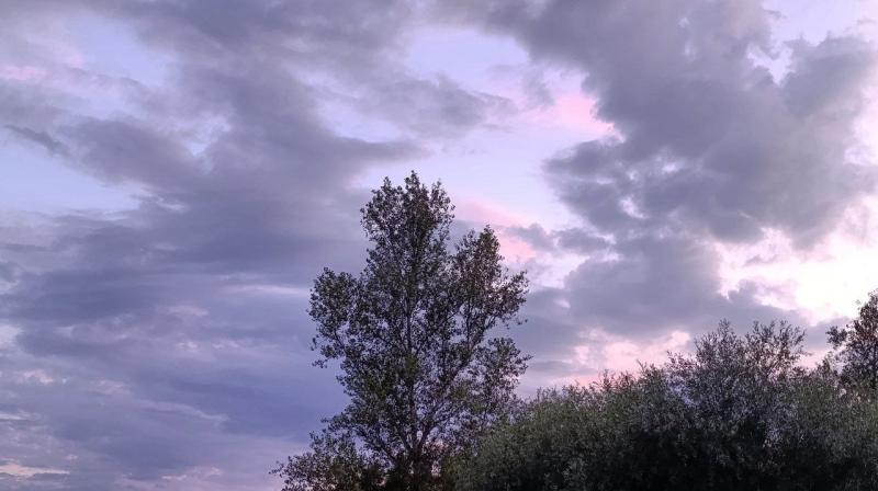 Станет прохладнее: в Самарской области 26 июля будет тепло и ветрено