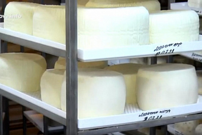 В Самарской области изготавливают элитные сорта сыра