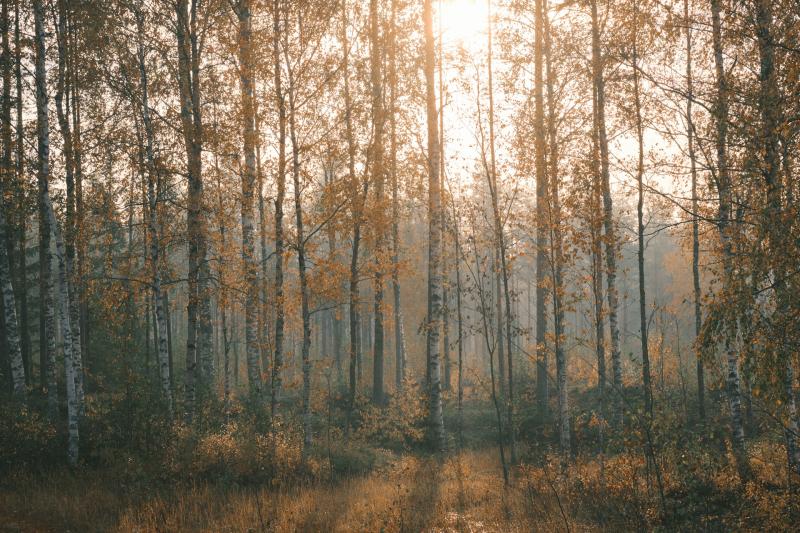 Народные приметы на 27 августа 2025 года: что нельзя делать в этот день