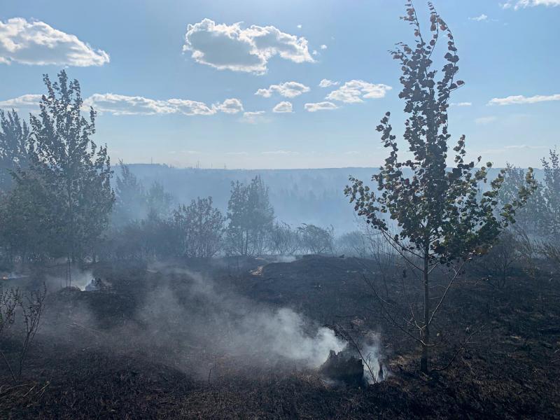 Николай Ренц рассказал о тушении крупного лесного пожара в Тольятти