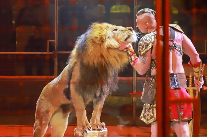 В Самару привезли грандиозное цирковое шоу с мощными спецэффектами