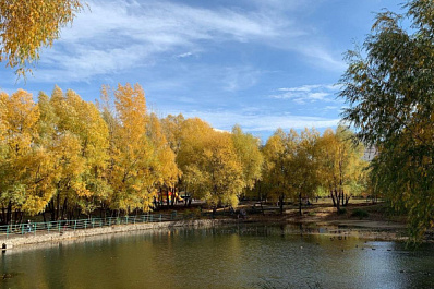 Тепло и без осадков: 21 сентября в Самарской области будет хорошая погода