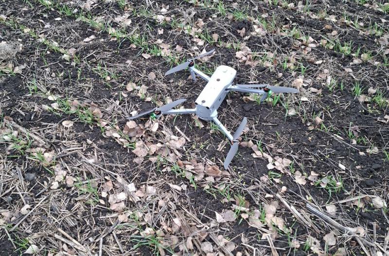 Санитары полей: как следят за здоровьем сельхозугодий в Самарской области