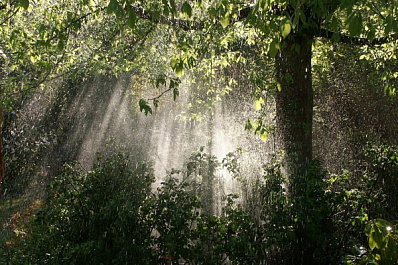 Самарскую область в выходные накроют кратковременные дожди и грозы