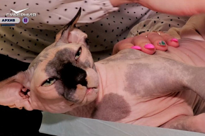 Название статьи