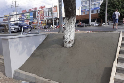 В Самаре спасли деревья, закатанные в бетон на Московском шоссе у Ботанического сада