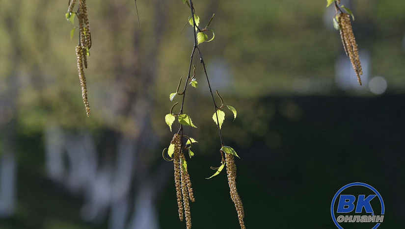 5 мая в истории и архиве "ВК"