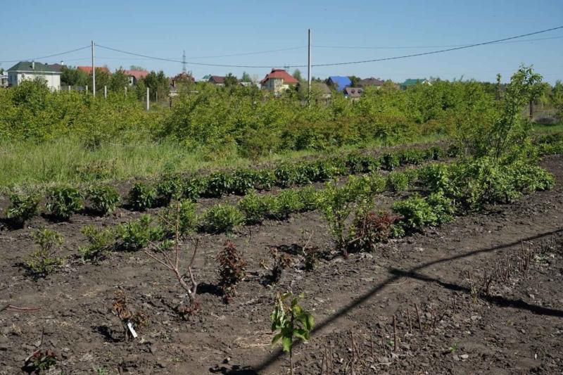 В Самарской области госпрограмма "Комплексное развитие сельских территорий" меняет качество жизни в селе Исаклы