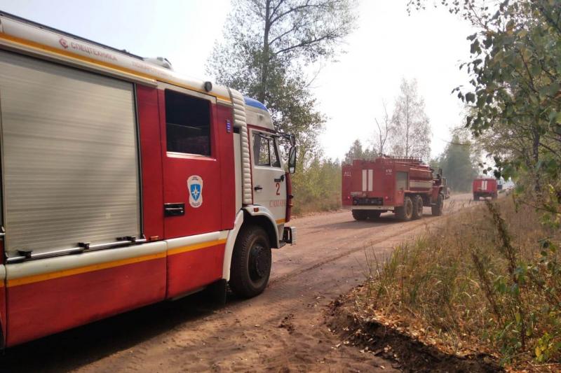 В национальном парке "Бузулукский бор" огонь уничтожил 700 гектаров леса
