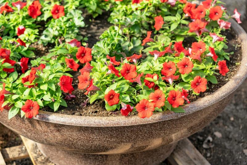 В Сызрани завершили обновление одного из исторических парков города