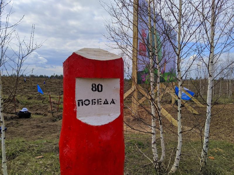 Для будущих поколений: в Самарской области посадили лес в память о погибших соотечественниках