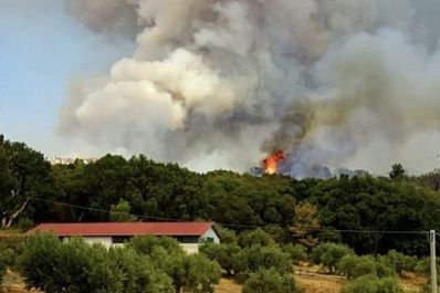 В России площадь лесных пожаров увеличилась на 6,5 тысячи га за сутки