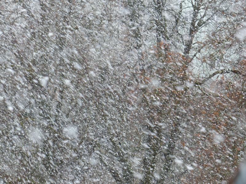 Синоптики рассказали, придет ли в Самарскую область снег из Москвы
