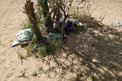 Тольяттинцев приглашают принять участие в очистке берегов Волги от мусора