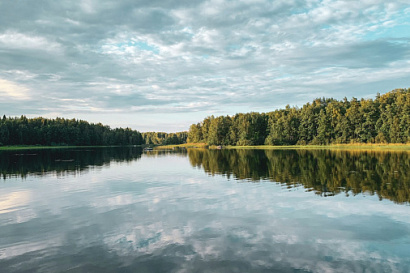 Название статьи