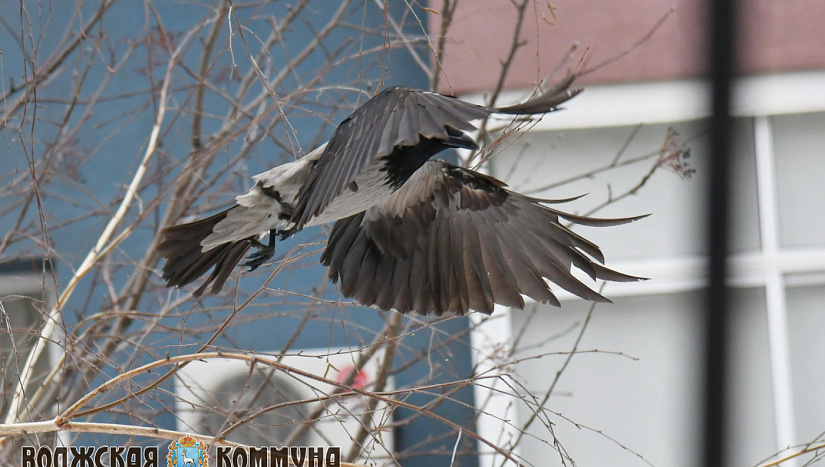 7 ноября в истории и архиве "ВК"