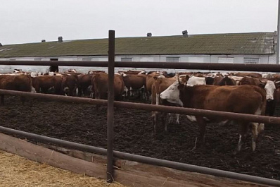 В России пройдет экономическая перепись малого бизнеса