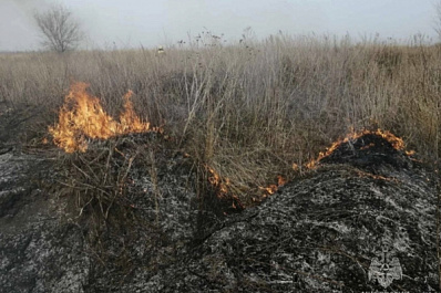 Администрация Тольятти: в городе запрещено сжигание мусора и разведение костра