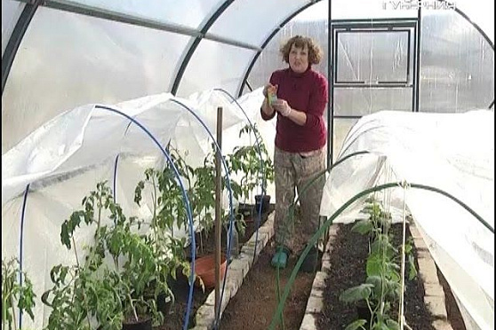 Дачные советы 14.04.2016