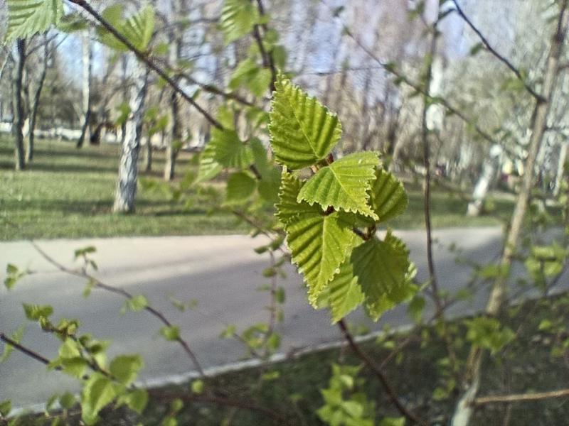 Стало известно, когда в Самарской области на этой неделе будет самый дождливый и самый жаркий день