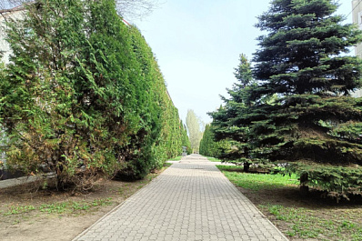 В Самарской области 23 мая будет прохладно и ветрено