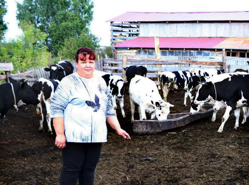 Грантовая поддержка на развитие молочного животноводства помогает фермерам Шенталинского района 