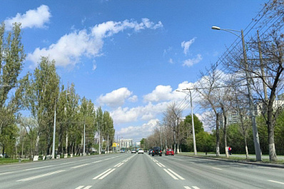 В ноябре вдоль улицы Ташкентской в Самаре высадят кусты дерена и снежноягодника