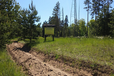 В Самарской области усилили контроль за лесами Борского района
