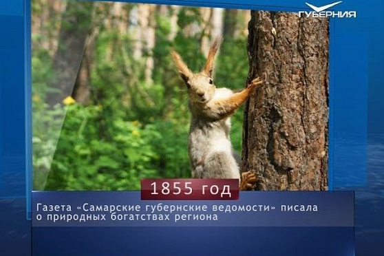 Календарь губернии от 12.11.2018