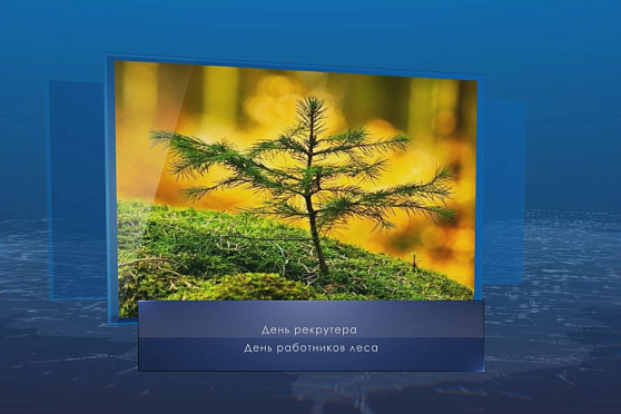 День работников леса. Календарь губернии от 20 сентября