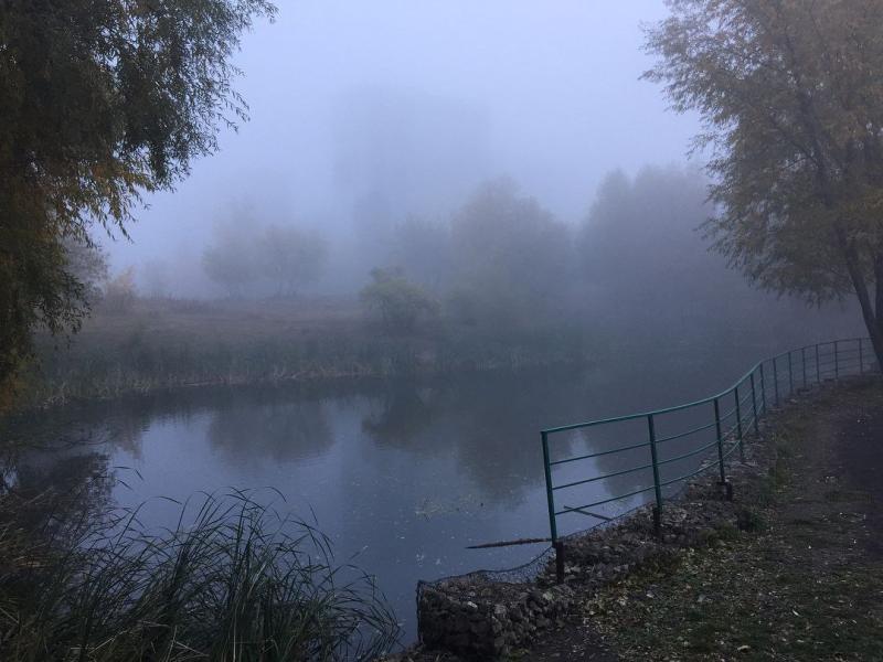 Самарскую область 4 октября накроет туман